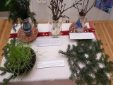 muzeum_vianoce_20177